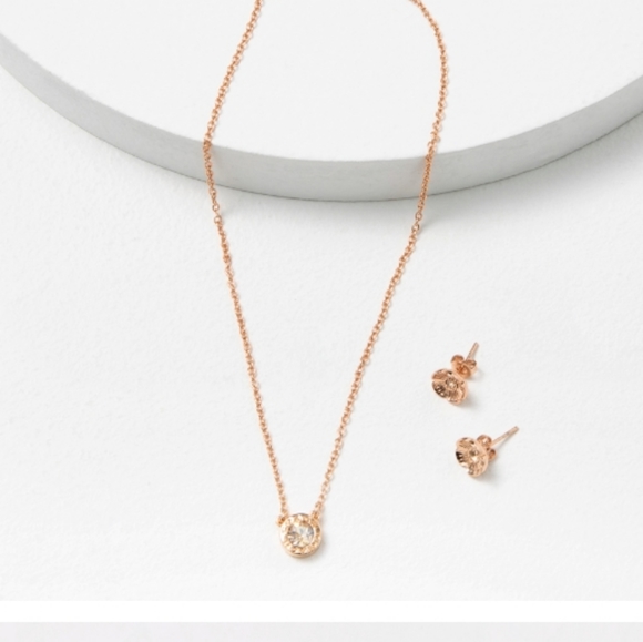 NEW Coach Circle Open Necklace & Tea Rose Stud Set - Picture 5 of 6